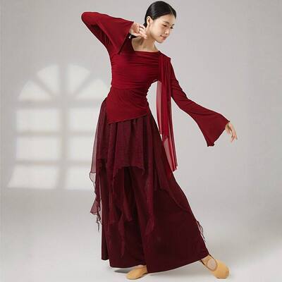 飘逸层次感古典舞服飘逸中国舞服