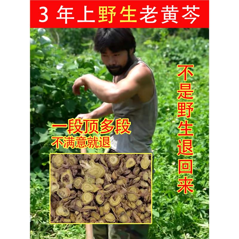 老周家深山纯野生黄芩500g材粉根片黄琴枯芩茶龙胆草栀子-封面