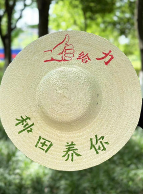 草帽户外田园男女春夏秋