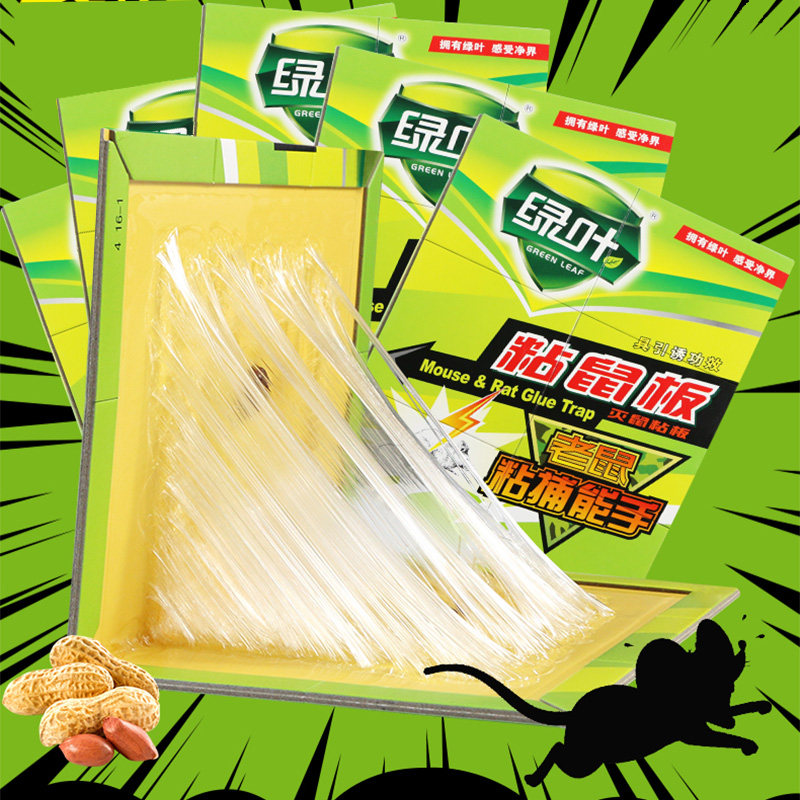 绿叶强力粘鼠板捉大家用贴胶6张