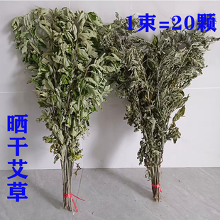 精品整颗艾草新鲜端午正宗艾泡脚坐月子大叶艾草晒干端午驱蚊家用