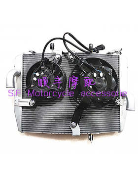 QJ800GS-G/700GS-L钱江赛800/600RS水箱总成水冷散热器水循环风扇