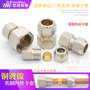 12卡铜管钢管接头 铜镀镍内丝卡套接头内螺纹 4分 卡6
