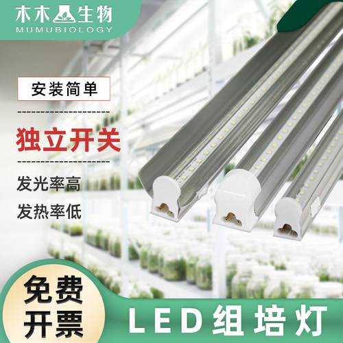 led仿太阳育苗全光谱开关生长灯