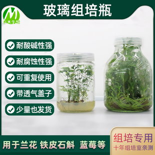 玻璃透明组培瓶虫草瓶 菌种瓶兰花瓶铁皮石斛350ml 650ml组培瓶子