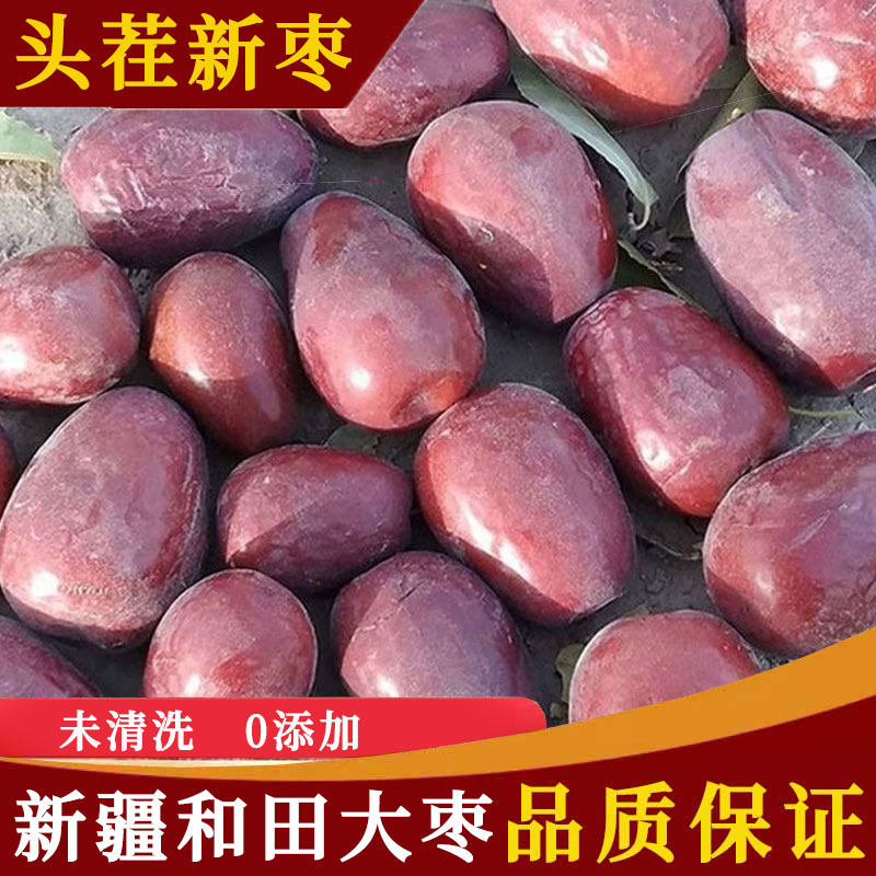 24年新枣自家果园采摘未清洗新疆红枣和田大枣5斤自然吊干红枣