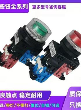 带灯按钮开关AR30G4L-11AR22G4L-10E4E3GRY
