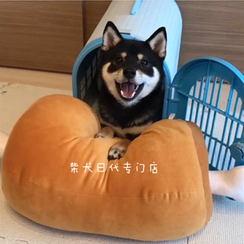 Coussin Manga - Ref 2691502 Image 3