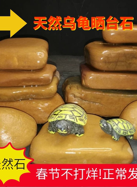 黄蜡石乌龟晒台发色养桥小青巴西龟草墨龟造景石南美鱼缸石头包邮