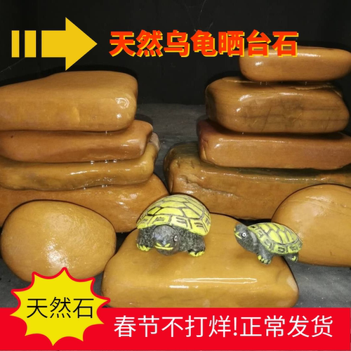 黄蜡石乌龟晒台发色养桥小青