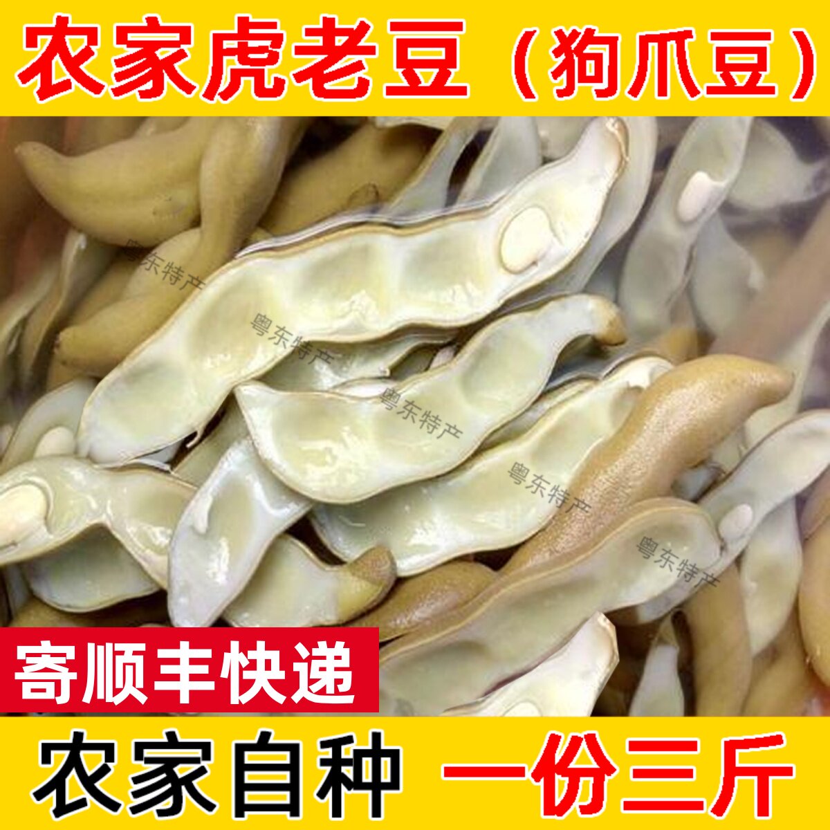蔬菜 新鲜虎老豆 狗爪豆 豆皮 新鲜食品胡老豆老虎豆 客家特产