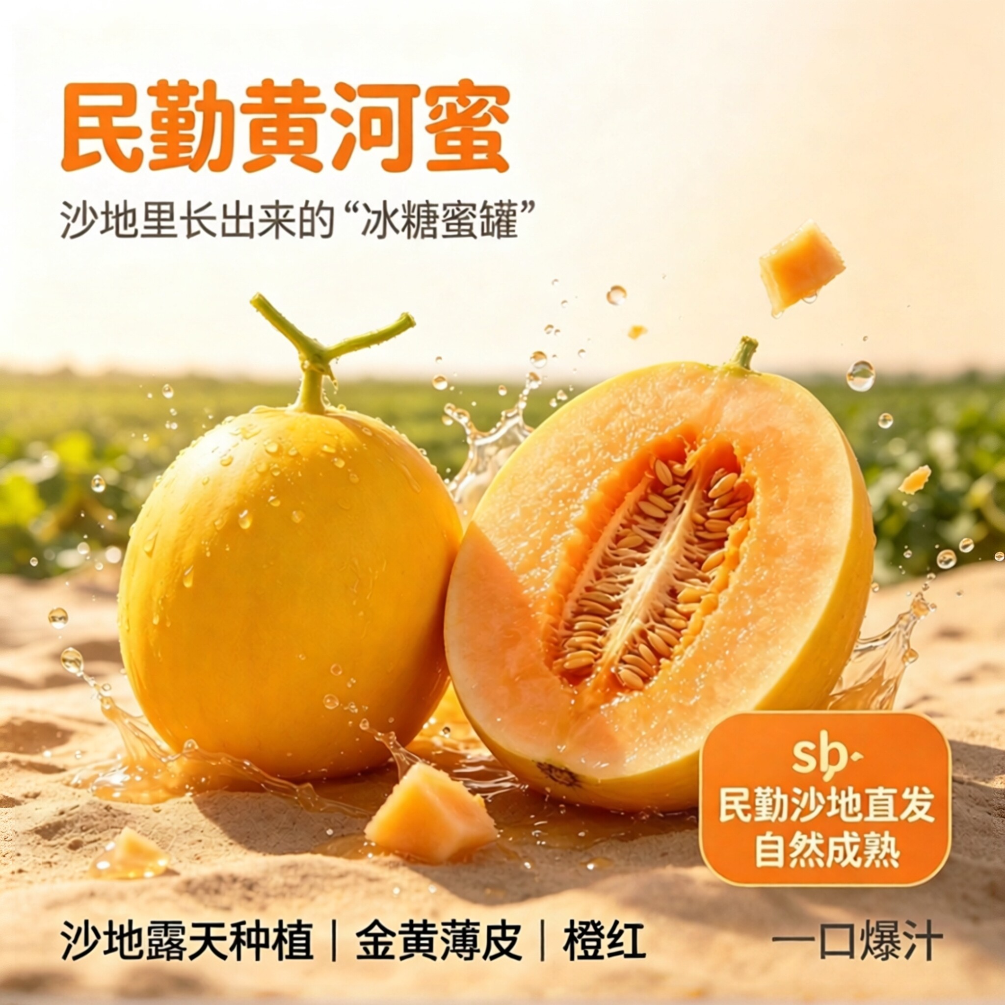 甘肃民勤沙地脆甜瓜现摘直发