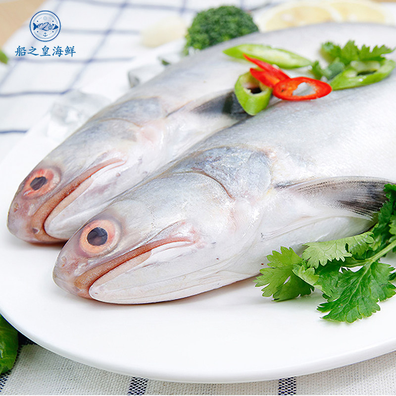 船之皇马友鱼深海鱼450g新鲜鲜活完整海捕海鱼午仔鱼海鲜特产