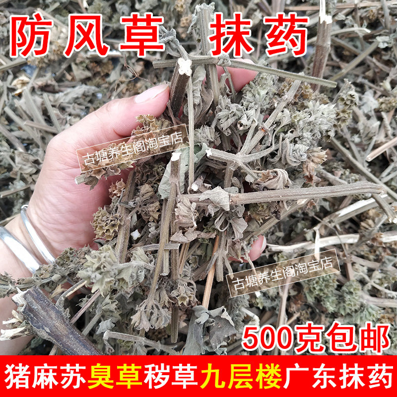 防风草广东末抹药野臭草荨猪麻苏疹红痒九层楼宝宝泡澡婴幼儿受风
