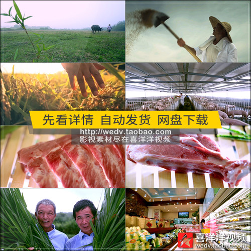 J013农村水稻有机生态养猪场猪肉绿色农业切肉烤肉超市场视频素材
