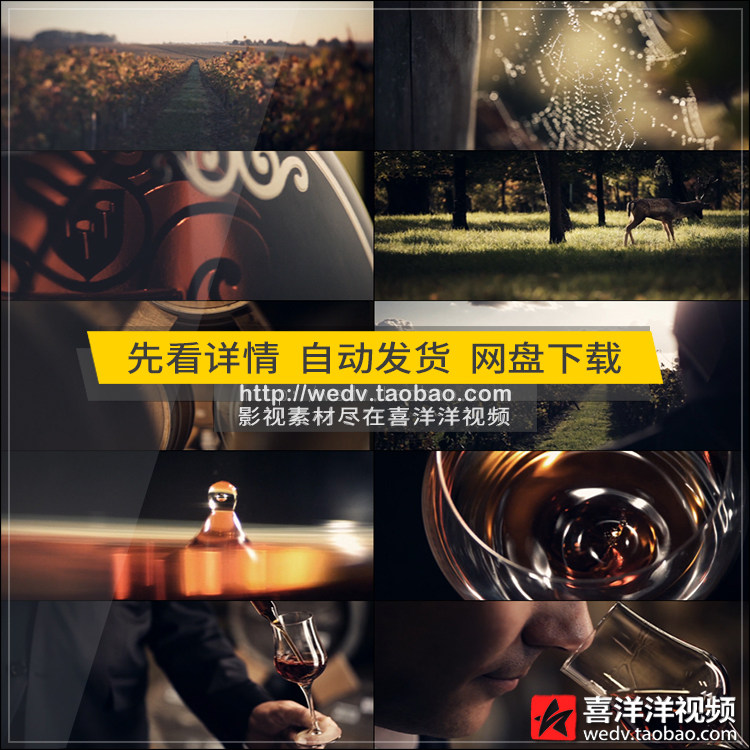 j050葡萄园大自然葡萄酒庄红酒品酒影视广告高清实拍视频素材