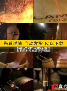 J061品尝红酒葡萄酒品酒酿造酒窖酒桶高清广告宣传片实拍视频素材