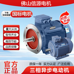 广东佛山信源电机厂YE3YE2YE4 卧式立式电动机三相异步马达全铜芯