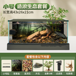 南美溪流缸新款 玻璃鱼缸原生造景家用客厅小型金生态龟缸热卖