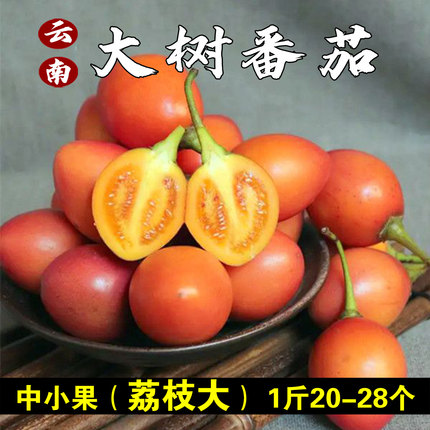 德宏树番茄云南傣族蘸水佐料鸡蛋果做番茄酱洋酸茄老品种大树番茄