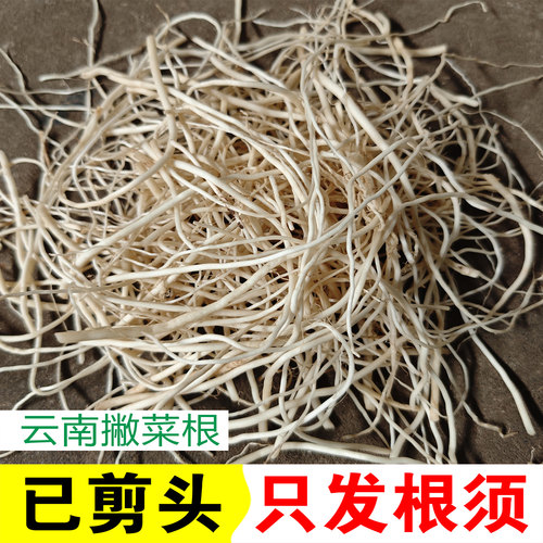 云南撇菜根纯根须德宏特产佤味牛皮菜根腌制新鲜蔬菜苤菜根不带头