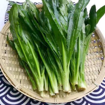 云南缅芫荽大香菜香茅草德宏香柳蘸水佐料火锅调味卤菜去腥香辛料