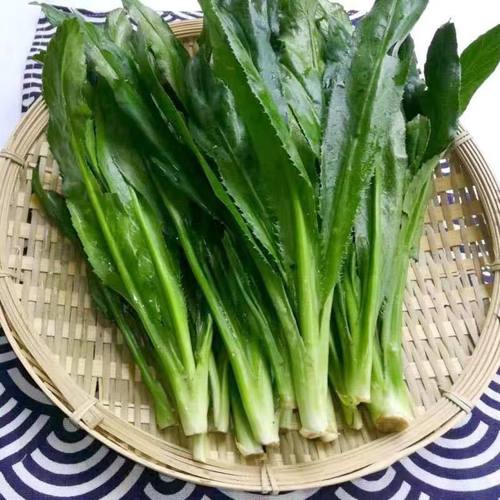 1斤 2斤 3斤 云南缅芫荽大香菜 德宏香柳叶 蘸水佐料越南新鲜蔬菜