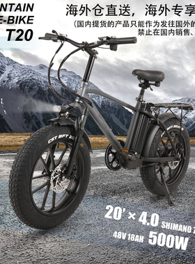 4.0沙滩雪地肥胎20寸电瓶越野电动自行车山地助力电单车成人男士