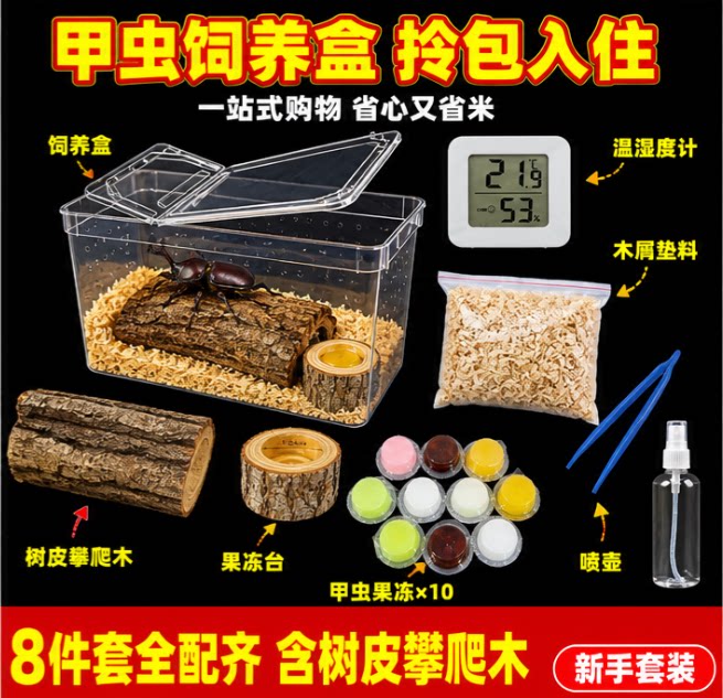 独角仙饲养箱套装爬虫蜗牛小型昆虫幼虫造景套餐大扁锹甲虫饲养盒
