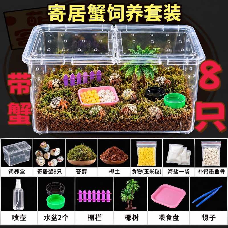 陆生寄居蟹新手饲养套装桌面宠物寄居蟹造景套装寄居蟹全套用品