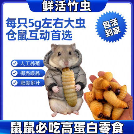 仓鼠粮食主粮鼠粮仓鼠饲料零食面包虫金丝熊粮花枝鼠主粮鲜活竹虫