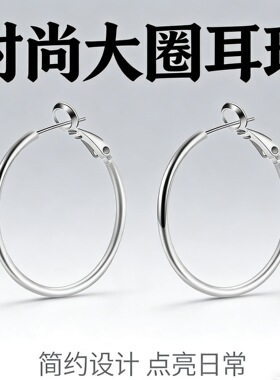 欧美大圈耳环女2026年新款潮圆圈耳圈简约个性冷淡风气质网红耳饰