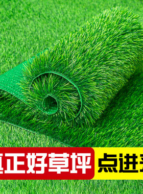 仿真草坪人造假草皮人工铺垫塑料户外足球场阳台绿色草垫落地屋顶
