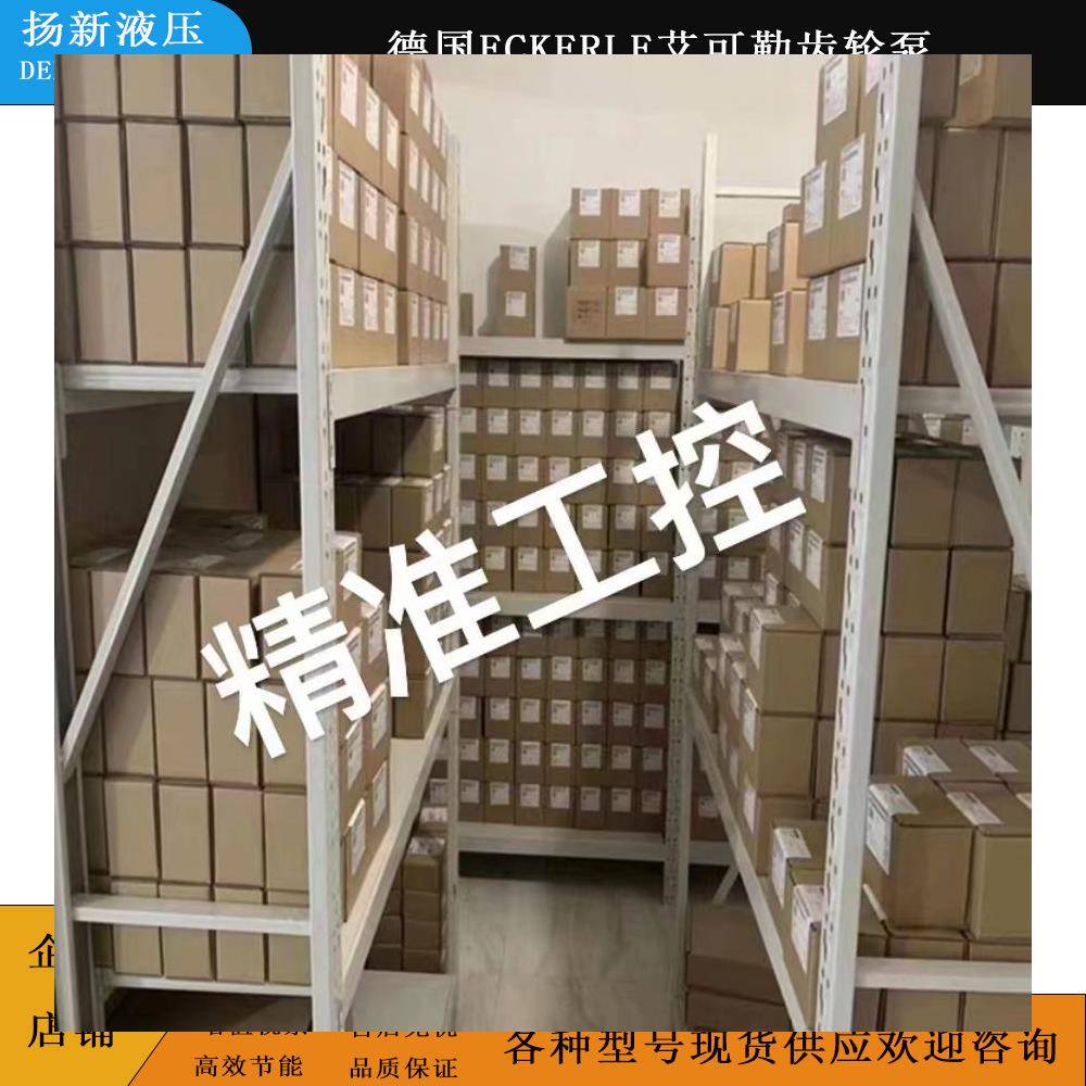 ECKERLE艾可勒齿轮泵EIPH2/EIPH3/EIPH5/EIPH6折弯机机械液压泵议