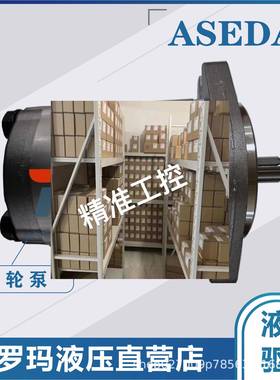 ASEDA齿轮泵SAP0.5-0.50 SAP0.5-0.65 SAP0.5D-1.30 SAP0.5D-1.60