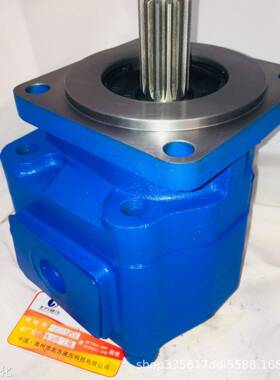 厂家供应 CBGP2100-B1L-30Z 齿轮泵 多种规格议价