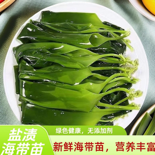 霞浦纯天然新鲜海带嫩苗海底捞同款盐渍海带苗凉拌火锅菜商用食材