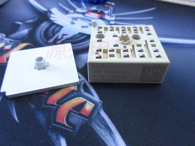 SKIIP12NAB065V1  原装/拆机质量保证 测试好发货 可直拍