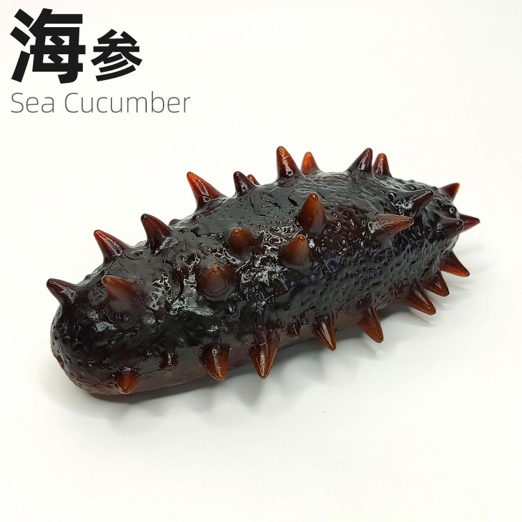 实心仿真海参模型假海参海产品装饰海鲜食材食物美食拍摄道具玩具