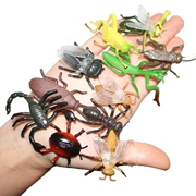 Mô phỏng côn trùng đồ chơi mô hình giả rắn bọ cạp nhện nhện cá sấu tôm hùm khủng long động vật đặt quà tặng nhận thức trẻ em - Đồ chơi gia đình