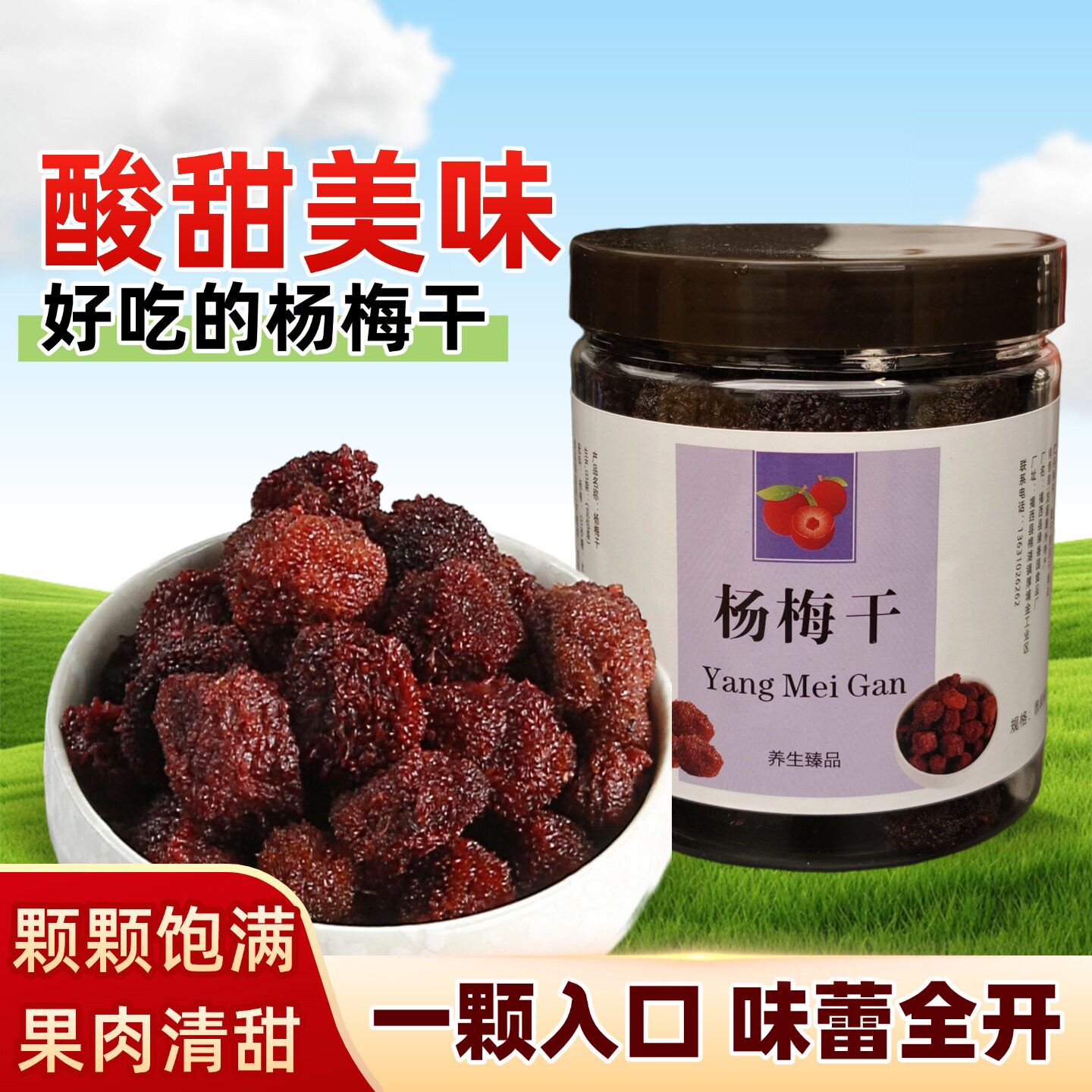 杨梅干酸甜美味解馋果干瓶装果肉饱满休闲即食零食蜜饯小吃