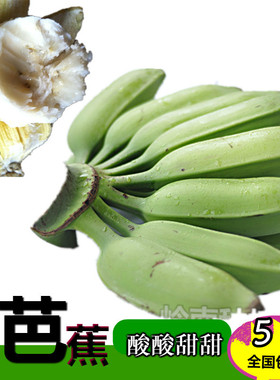 新鲜芭蕉水果蕉Green shipment, suitable for cooking plantain