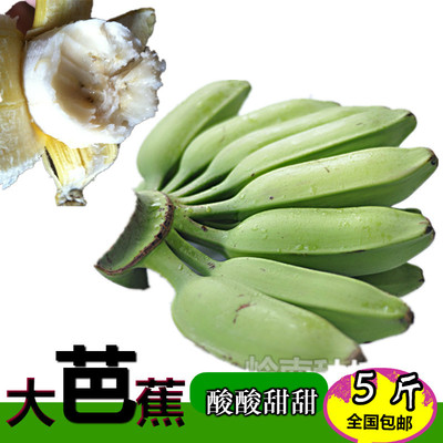 新鲜芭蕉水果蕉Green shipment, suitable for cooking plantain