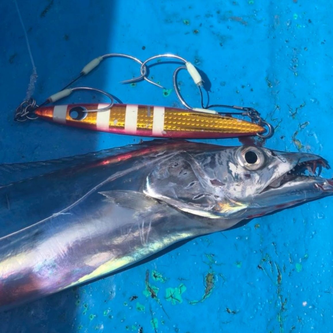 带鱼刀鱼铁板鲅鱼假饵日本Uroco鱼乐客Jig矩阵镭射镜反射高效诱鱼,户外/登山/野营/旅行用品,浮漂,淘宝优惠券,粉丝福利购,淘宝优惠卷