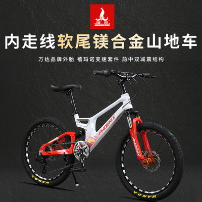 凤凰儿童自行车软尾镁合金山地车