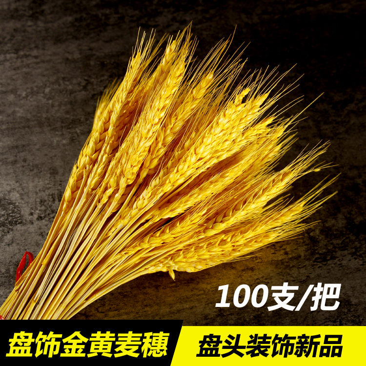 盘饰摆件田园种植金黄麦穗干花花束花草酒店凉菜菜品装饰点缀麦穗