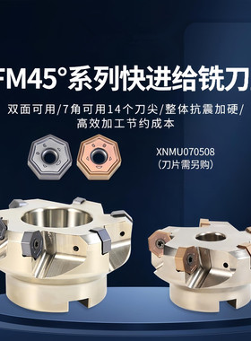 TFM45快进给铣刀盘45度平面刀盘XNMU070508通装金鹭澳克泰 瓦尔特