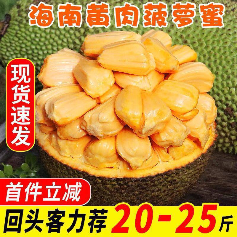 现摘海南菠萝蜜新鲜水果当季波罗菠萝蜜