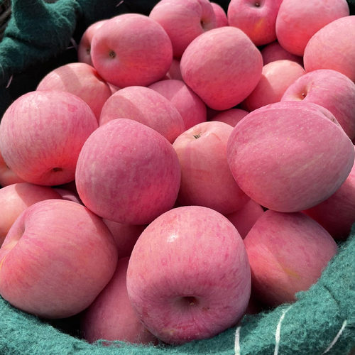 山东栖霞烟台红富士代发3/9斤新