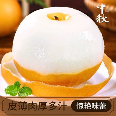 山东秋月梨南水梨新鲜现摘应季水